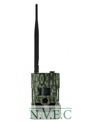 Фотоловушка Scout Guard MG882K-12mHD (12MP, запись видео 720пикселей HD, запись звука, отправка MMS/E-mail,