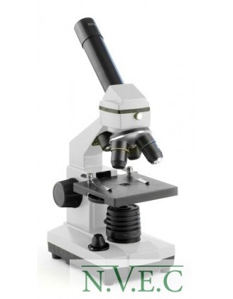Биологический микроскоп Levenhuk 3L NG