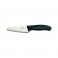 Нож кухонный Victorinox CeramicLine 7.2003.12G