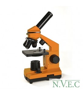 Микроскоп Levenhuk Rainbow 2L Orange\Апельсин
