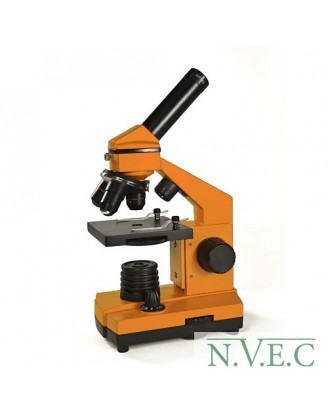 Микроскоп Levenhuk Rainbow 2L Orange\Апельсин