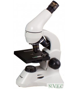 Микроскоп Levenhuk Rainbow D50L PLUS Moonstone\Лунный камень