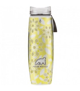 Термобутылка Polar Bottle Ergo Graphic (650мл), silver gold