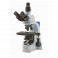 Микроскоп Optika B-510BF 40x-1000x Trino Infinity