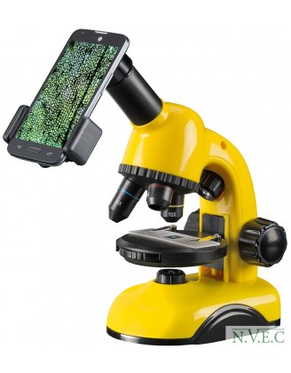 Микроскоп National Geographic Biolux 40x-800x (с адаптером для смартфона)