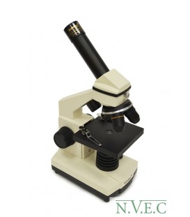Цифровой микроскоп Levenhuk D2L NG