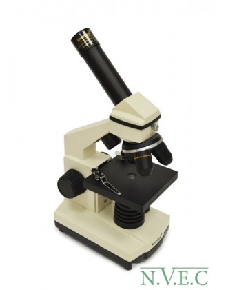 Цифровой микроскоп Levenhuk D2L NG